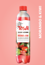 Água Saborizada Tesai Morango & Kiwi 500ml